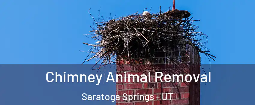  Chimney Animal Removal Saratoga Springs - UT