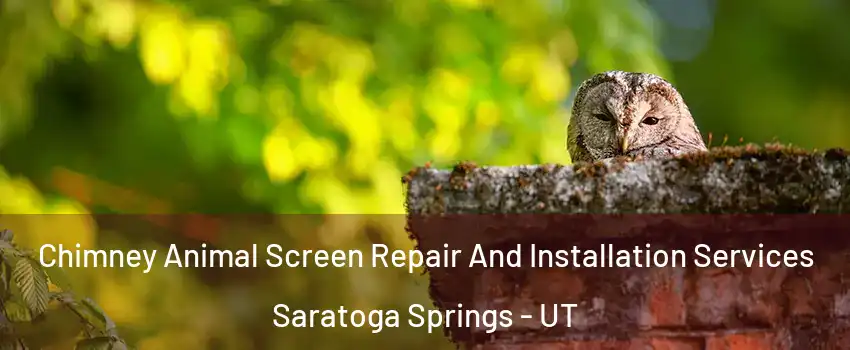  Chimney Animal Screen Repair And Installation Services Saratoga Springs - UT