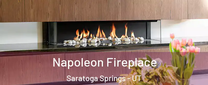  Napoleon Fireplace Saratoga Springs - UT